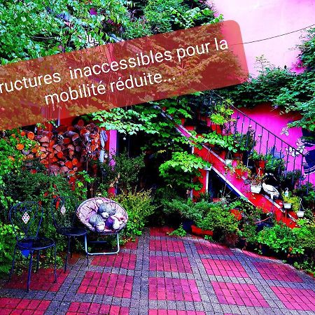 Tilly'S B&B And Apartment House Hohwald Exterior foto