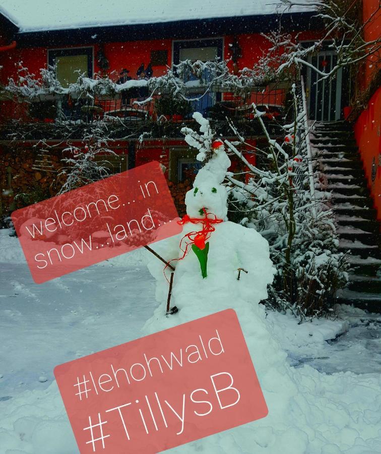 Tilly'S B&B And Apartment House Hohwald Exterior foto