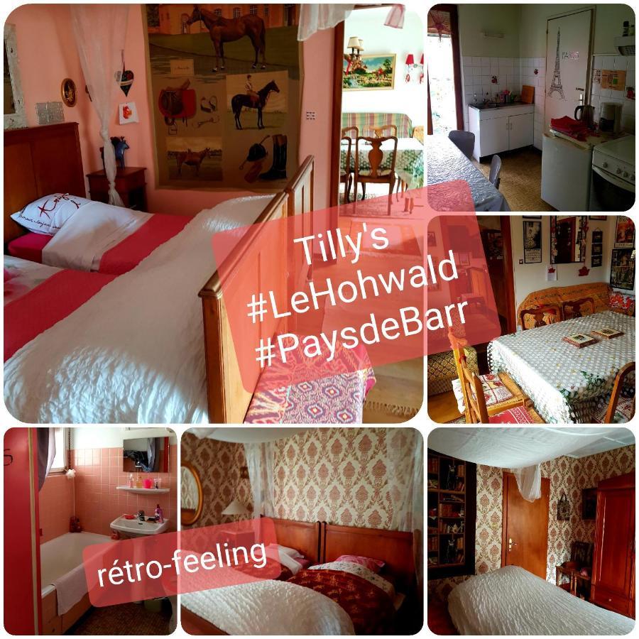 Tilly'S B&B And Apartment House Hohwald Exterior foto