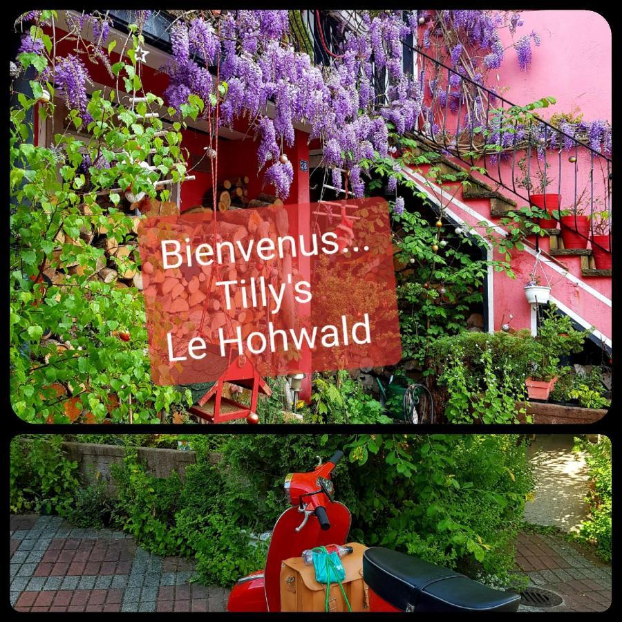 Tilly'S B&B And Apartment House Hohwald Exterior foto