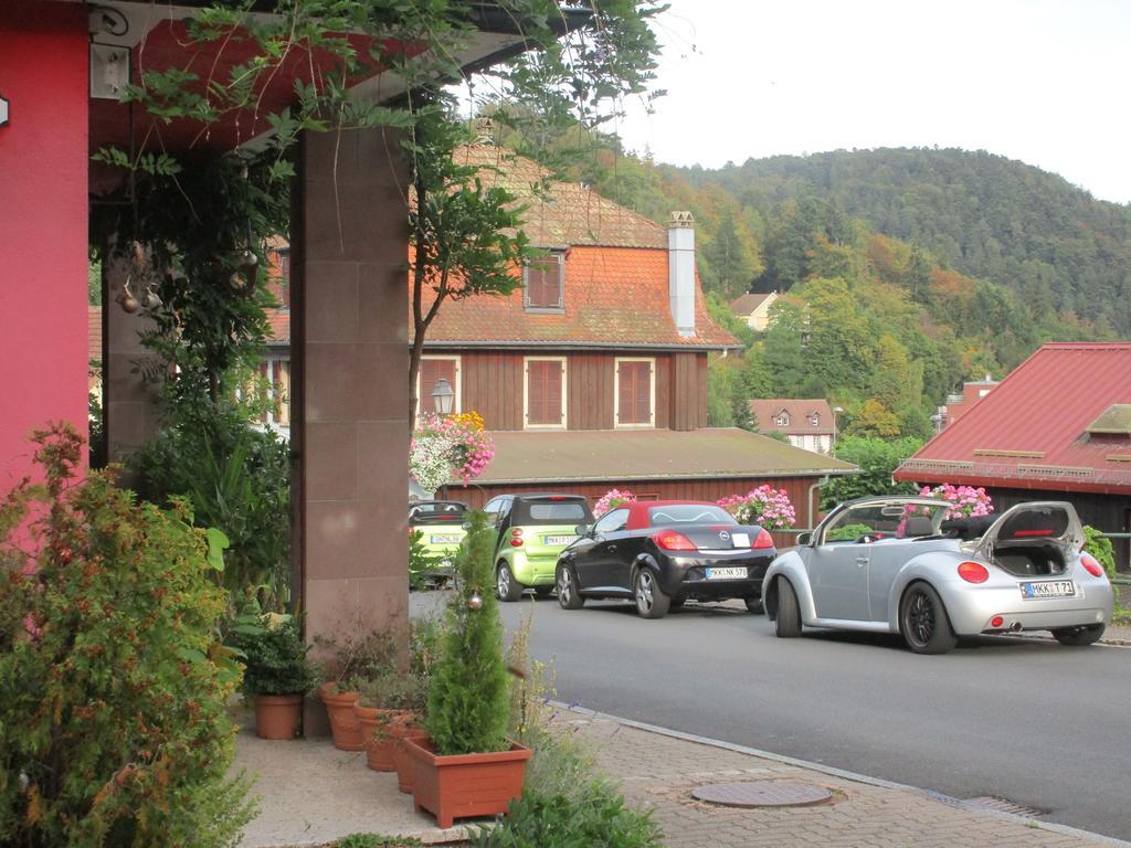 Tilly'S B&B And Apartment House Hohwald Exterior foto