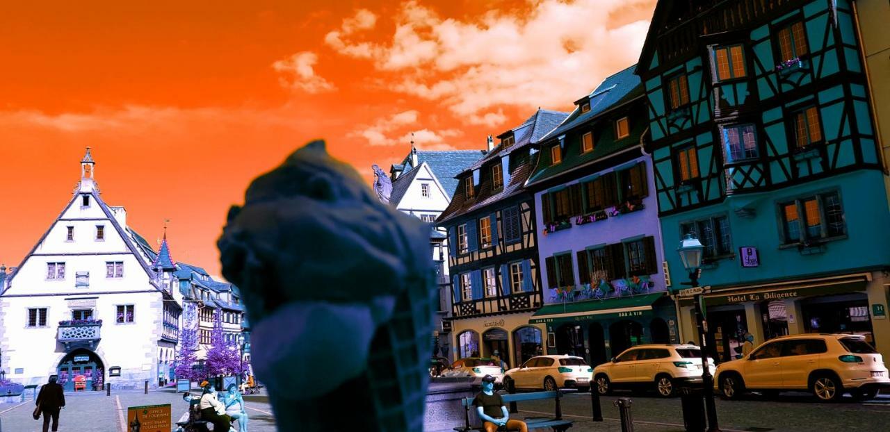 Tilly'S B&B And Apartment House Hohwald Exterior foto